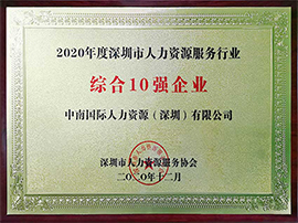 综合十强企业